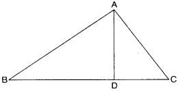 NCERT Solutions for Class 6 Maths Chapter 4 Basic Geometrical Ideas 21